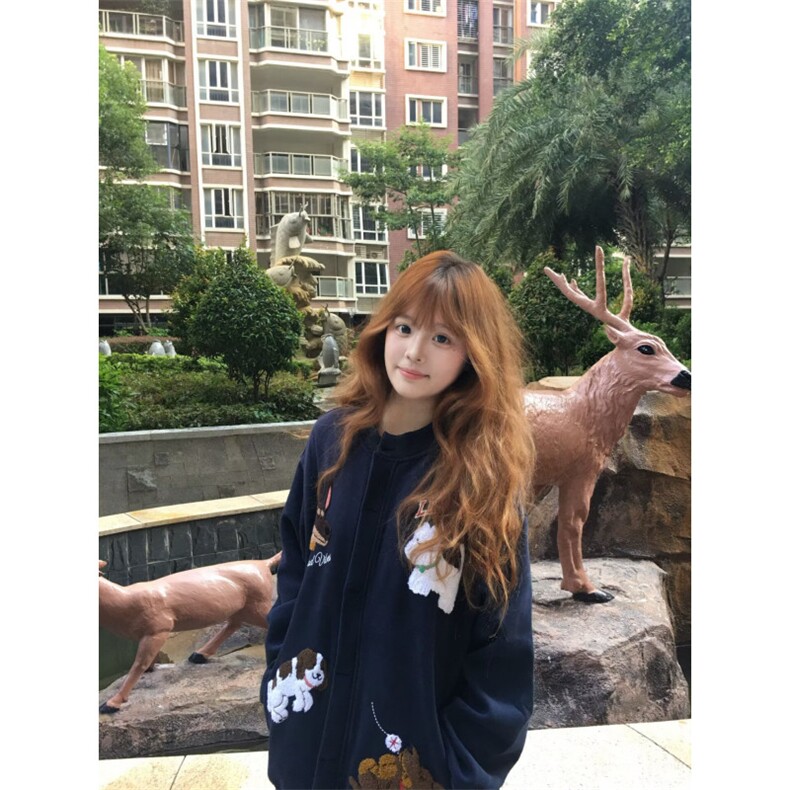 日系卡通小狗毛巾绣圆领卫衣女春秋2025新款慵懒风宽松bf开衫外套,女装短外套,星座516A