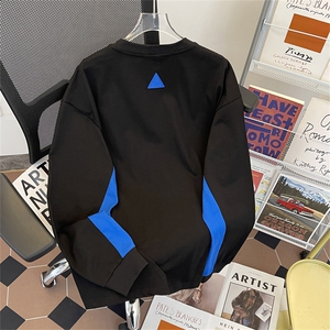 秋季新款港风美式拼色刺绣重磅220克圆领长袖卫衣潮ins ZW392-P45图片