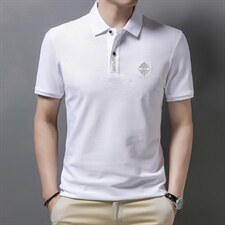 短袖T恤男薄款翻领上衣夏季中年男士休闲宽松潮流百搭POLOT恤衫，男装T恤，电商B212（原钱塘6029）
