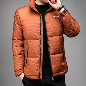 B8006白鸭绒90绒冬季新款立领中青年男士时尚简约羽绒服图片