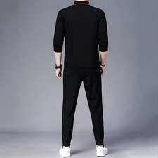 秋季2023新款长袖休闲运动套装男t恤翻领商务高端中青年两件套，男装休闲套装，电商B212（原钱塘6029）
