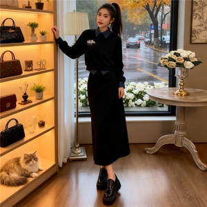 欧系时尚套装女秋撞色拼接衣领衣袖设计绣花订珠卫衣半身裙两件套图片