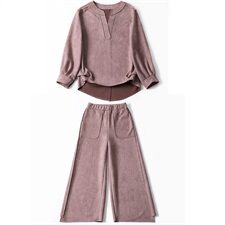 时尚两件套女2023秋装新款气质百搭长袖休闲V领鹿皮绒阔腿裤套装，女装套装/套裙，天丝秀