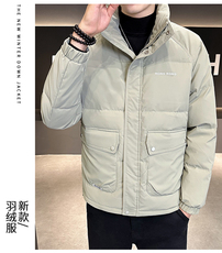 立领潮牌白鸭绒加厚工装保暖韩版青年防寒短款外套派客服男装，男装羽绒服，钱塘6003（原4033）