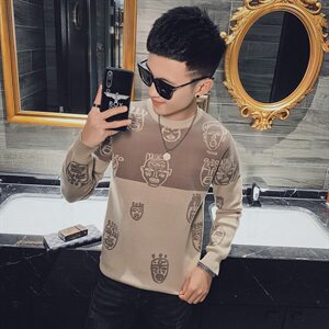 秋冬社会小伙套头毛衣休闲卡通圆领修身针织打底衫MY8621-P65控85图片