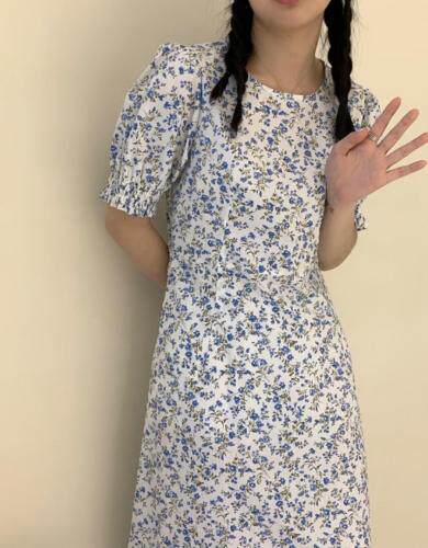 Here Bella(5F) HEREBELLA5F110914