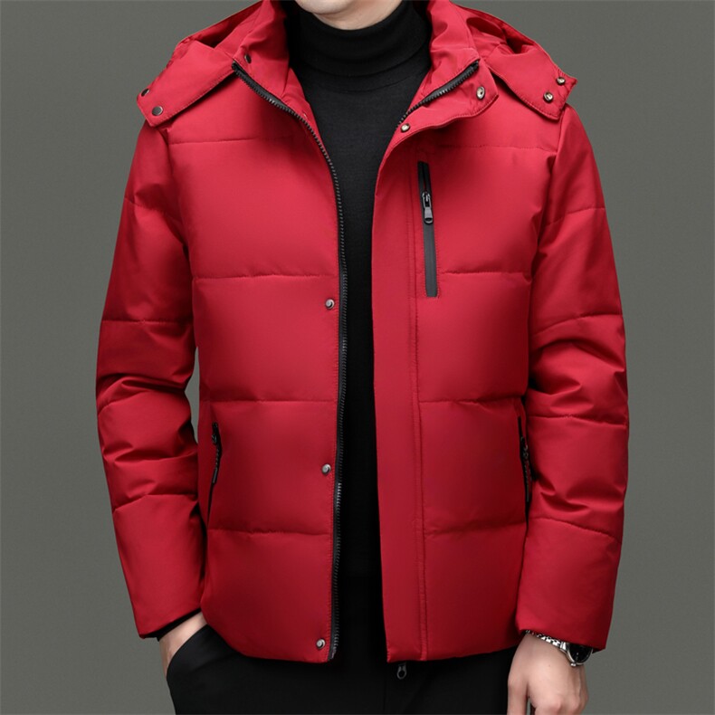 秋冬季白鸭绒羽绒服休闲男士短款加厚可脱卸帽时尚保暖男外套,男装羽绒服,钱塘6003（原4033）