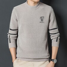 BF2601钱塘2020-2中青年男士时尚休闲帅气春秋季针织衫毛衣P85，男装针织衫/毛衣，钱塘207-2