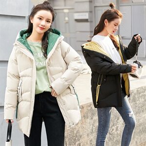 连帽2020年冬季纯色气质简约百搭优雅拉链门襟棉衣图片