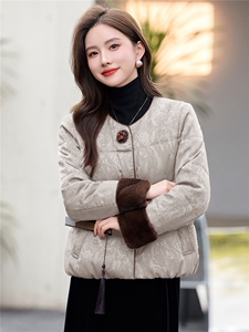 时尚立领棉服女2025冬季新款新中式宽松洋气短款棉衣外套图片