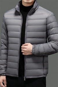 达标50绒轻薄羽绒服外套男立领冬季中青年男士休闲百搭YR911-P70图片