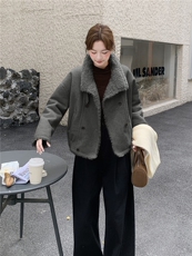 210-3290-P195-288皮毛一体双排扣加厚2025年冬季，女装短外套，浙宝210（原浙宝191）