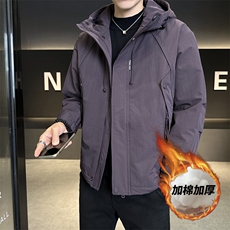 紫色