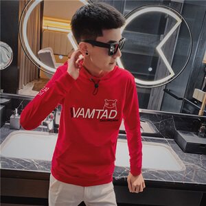 4秋装新款长袖卫衣社会精神小伙刺绣个性帅气卫衣C301B-WY05图片