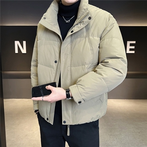 标50绒 立领男士羽绒服冬季2025新款纯色外套 A313-3305-P205图片