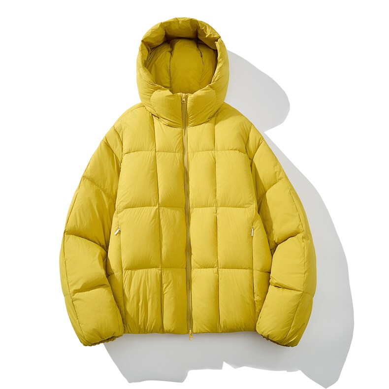 男士短款连帽羽绒服D213-CPW159-P470，男装羽绒服，电商D213