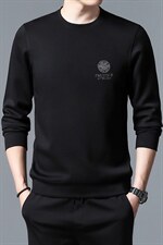 S3052钱塘2020-2春秋薄款时尚休闲帅气中青年男士长袖套装P67，男装卫衣，钱塘207-2