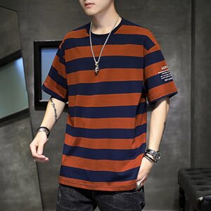夏季条纹短袖T恤男青少年圆领纯棉体恤男士夏装薄款潮牌T212图片