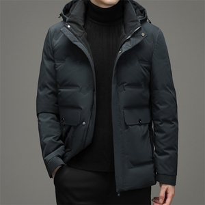 中年男灰鸭绒羽绒服男冬季新款中年加厚外套爸爸装YYYR6101-P265图片