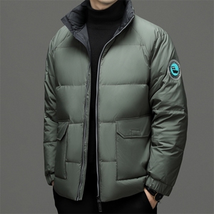 2024年新款男士羽绒服P220图片