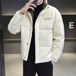 K1212 P155 标50羽绒服 冬季男士立领羽绒服图片