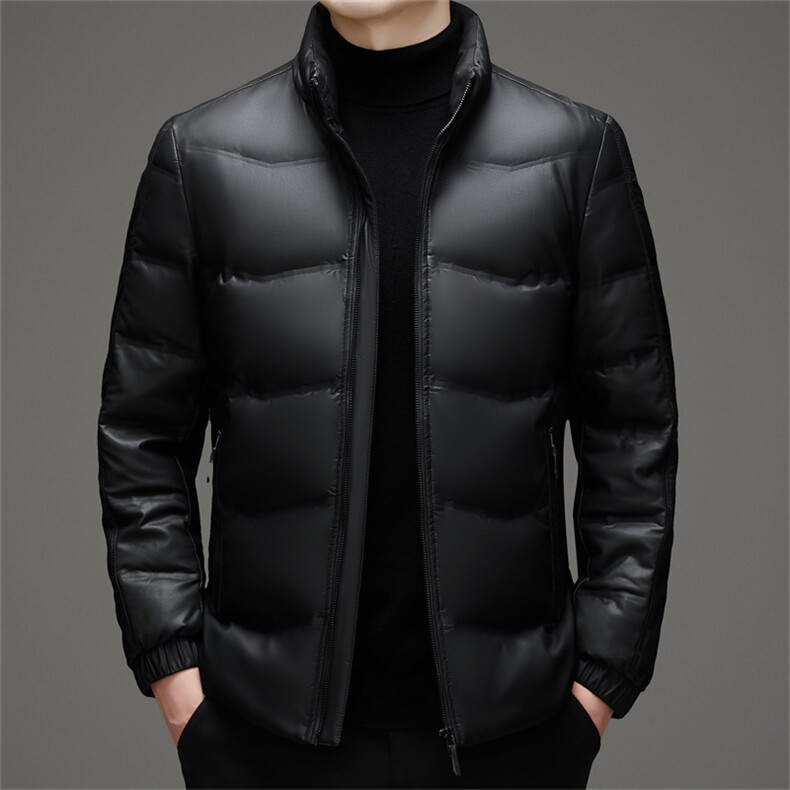 主推加大码冬季男士白鸭绒羽绒服保暖品质立领加绒休闲简约男装,男装羽绒服,钱塘6003（原4033）