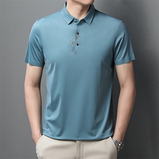 POLO衫男士短袖t恤翻领2023夏季新款潮牌休闲商务男装上衣，男装T恤，电商B212（原钱塘6029）