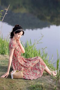 现货新款，改良版旗袍裙图片
