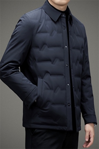 BAMJ-8978钱塘2020-2中年男士商务休闲简冬季厚款羽绒服P150图片
