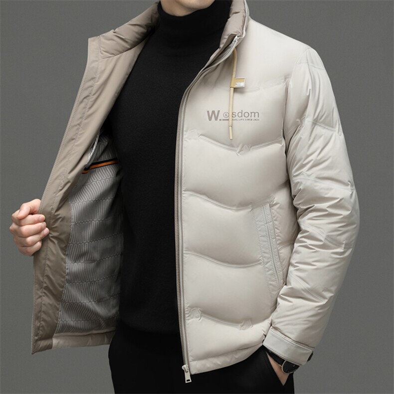 羽绒服男立领冬季加厚保暖中年外套新款商务休闲鸭绒男装上衣,男装羽绒服,电商B212（原钱塘6029）