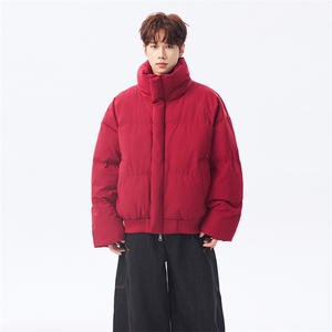 冬季clean纯色棉服潮流中性加厚短款棉衣 HZ8816-特P68不议价图片