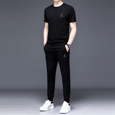 夏季中老年人短袖t恤男士冰丝宽松两件套2023新款中年夏装套装，男装休闲套装，电商B212（原钱塘6029）