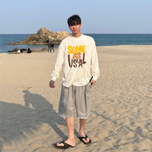 816B-CT1012-P60 长袖t恤薄款宽松学生百搭ins纯色韩中性慵懒图片