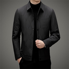 BAMJ-8982钱塘2020-2中年冬季厚款翻领简约商务百搭羽绒服P152，男装羽绒服，钱塘207-2