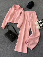 高级感时尚休闲运动服套装女春季新款立领长袖卫衣阔腿长裤两件套，女装套装/套裙，江南