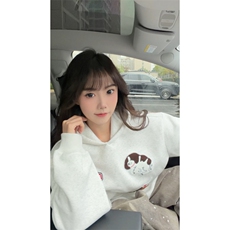 WY10191-特P55加绒特P60美式重磅刺绣连帽帽卫衣大码套头上衣，男装卫衣，电商A059