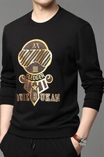 秋季新款长袖男士商务休闲时尚卫衣中年爸爸装圆领上印花衣打底衫，男装卫衣，电商B212（原钱塘6029）