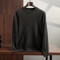 2025年秋季套头圆领青春流行时尚百搭，男装针织衫/毛衣，蒂暖羊绒