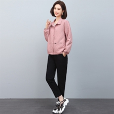 2024年春秋季新款潮韩版女纯色宽松显瘦休闲两件套，女装套装/套裙，独衣靓