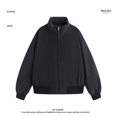平铺~新标90白鸭绒冬季美式立领羽绒服外套E123/P259，男装羽绒服，电商B331