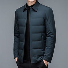 羽绒服冬季新款加厚保暖男士翻领上衣中青年商务休闲白鸭绒外套，男装羽绒服，电商B212（原钱塘6029）