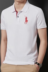 夏季新款男士翻领短袖t恤中年有领男装上衣服休闲POLO衫，男装T恤，电商B212（原钱塘6029）