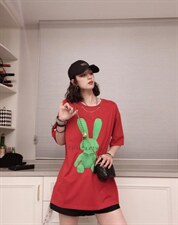 兔子大版TＭL，其它，可纳奇