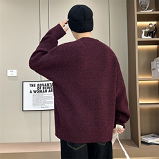 【新品】8718-P602025年秋季款时尚毛衣针织套头衫男士宽松长袖，男装针织衫/毛衣，电商A113