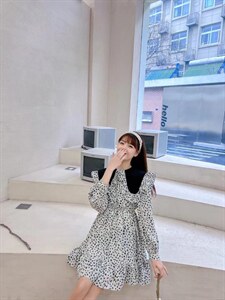 韩式大翻领印花连衣裙图片