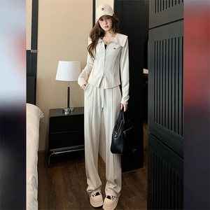 韩版休闲时尚运动套装女春季新拉链刺绣大翻领卫衣阔腿裤卫两件套图片