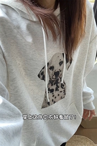 秋季新款卫衣女宽松休闲百搭高级感上衣W4696-特价37图片