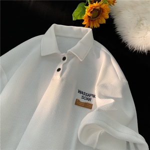 夏季华夫格刺绣贴标polo衫短袖平铺M~5XL XZ604-PL102-P45控58图片