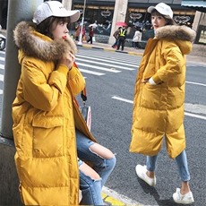 现货五千件已备主推款C882中长款棉衣棉袄，女装棉衣/棉服，浙宝088