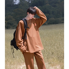 2025秋季恐龙小标男士套装班服TZ71/P78控108(上衣P58裤子P58），男装休闲套装，电商A148